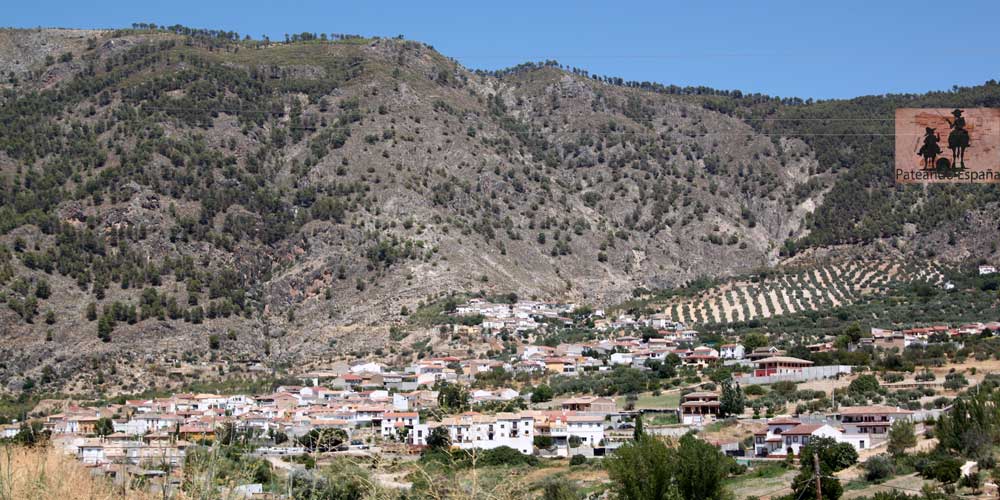 Olivares 